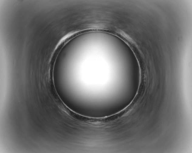 X0000086021222200704091107