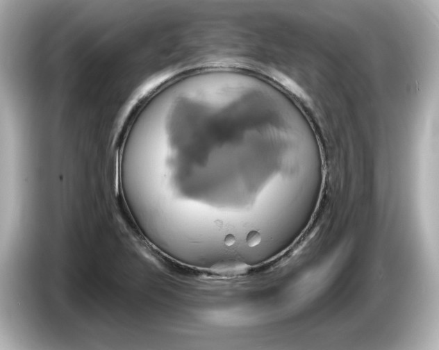 X0000086021223200704091107