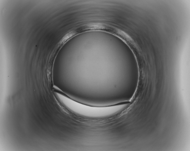 X0000086021225200704091108