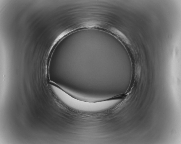 X0000086021226200704091108