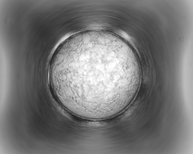 X0000086021227200704091108