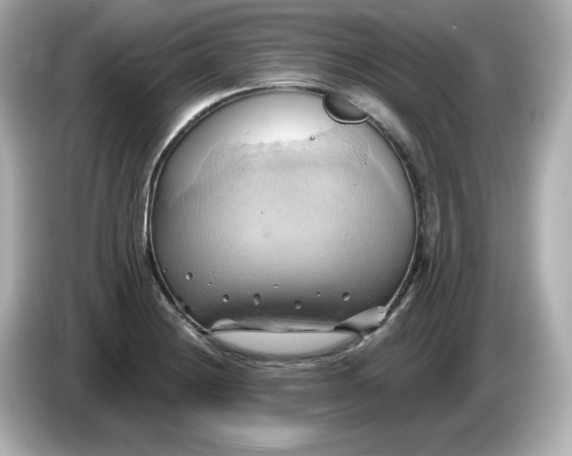 X0000086021228200704091108