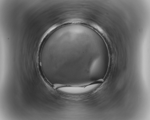 X0000086021229200704091108