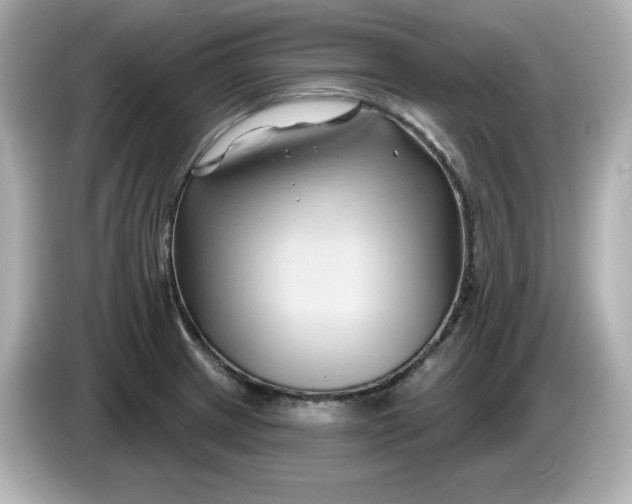 X0000086021233200704091108