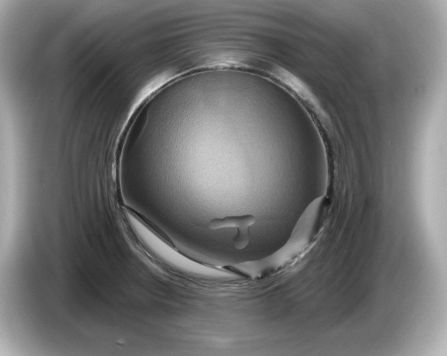 X0000086021234200704091108