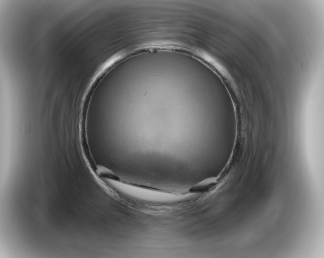 X0000086021237200704091108