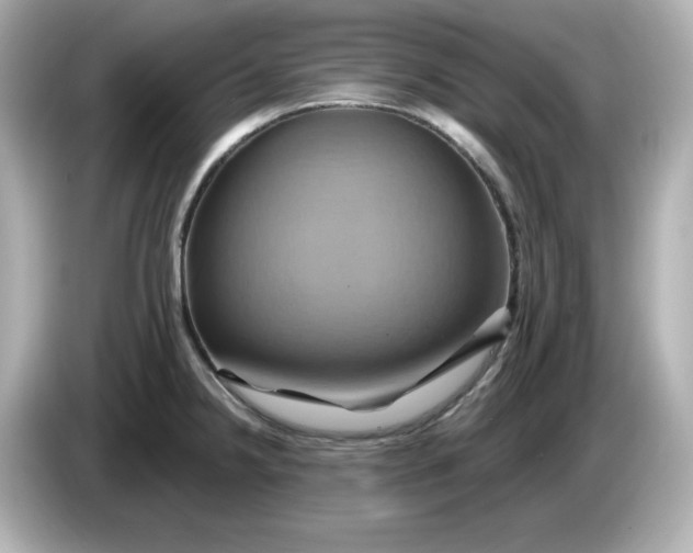 X0000086021238200704091108