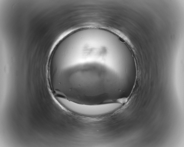 X0000086021239200704091108