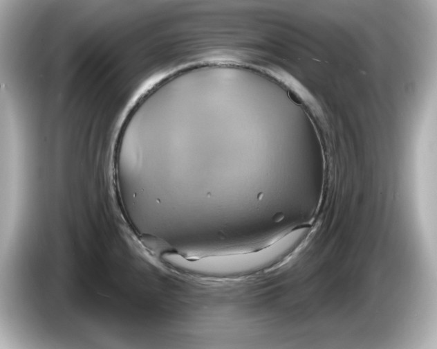 X0000086021240200704091108