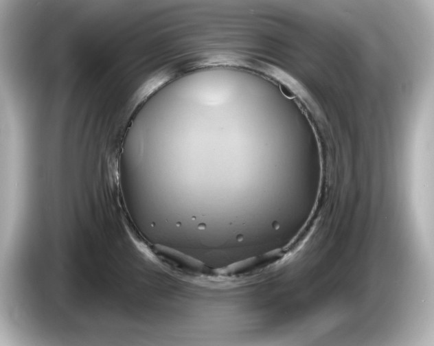 X0000086021241200704091108