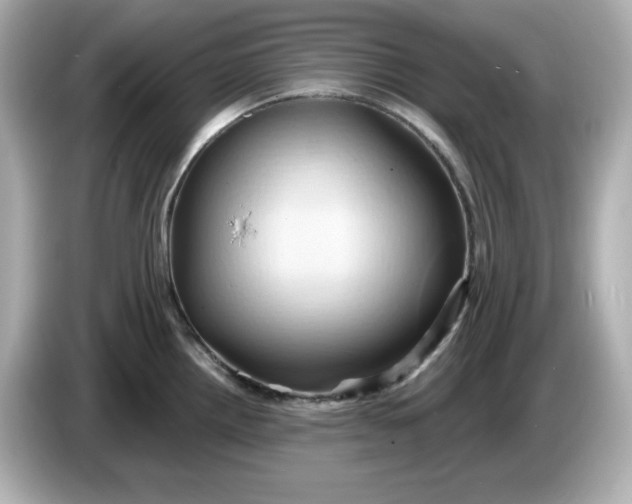 X0000086021242200704091108