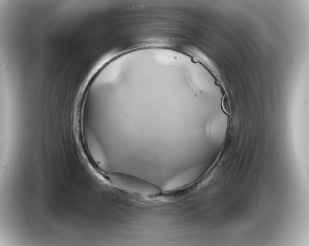 X0000086021243200704091108
