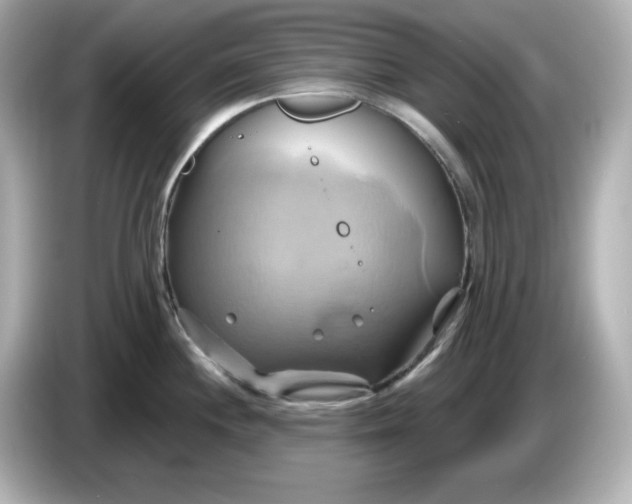 X0000086021244200704091108