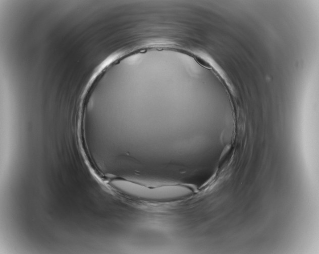 X0000086021245200704091108