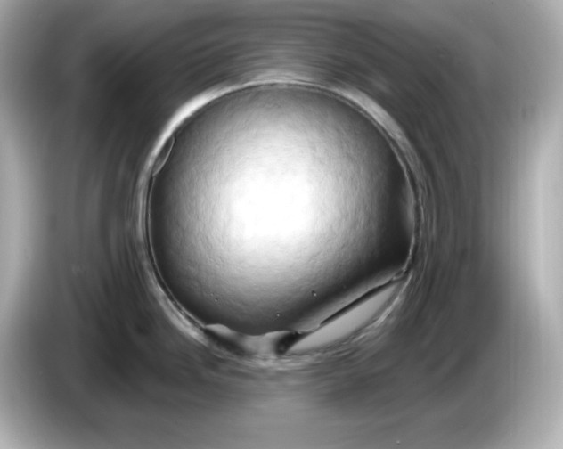 X0000086021246200704091108