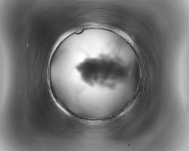 X0000086021247200704091108