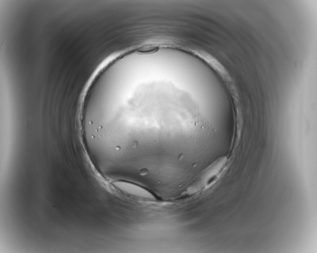 X0000086021248200704091108