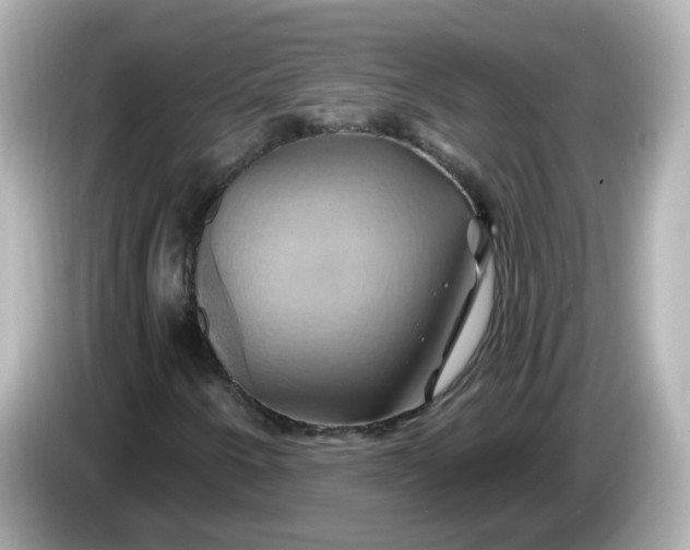 X0000086021250200704091107