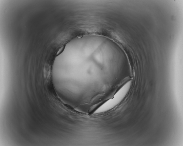 X0000086021251200704091107