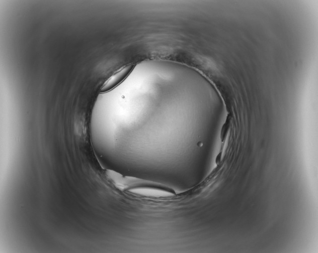 X0000086021252200704091107