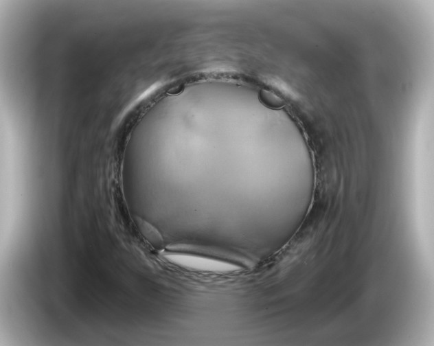 X0000086021255200704091107