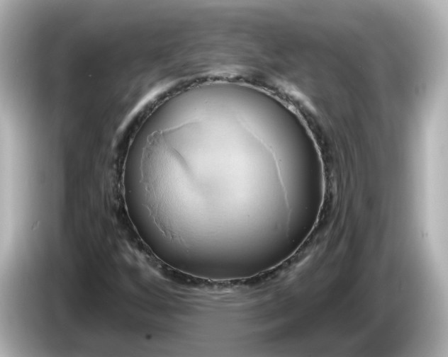 X0000086021256200704091107