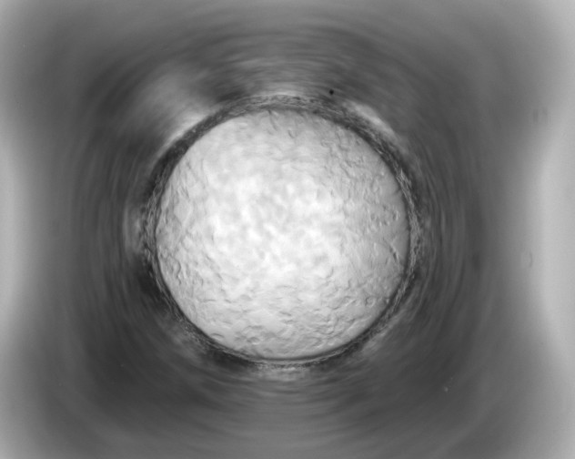 X0000086021258200704091107