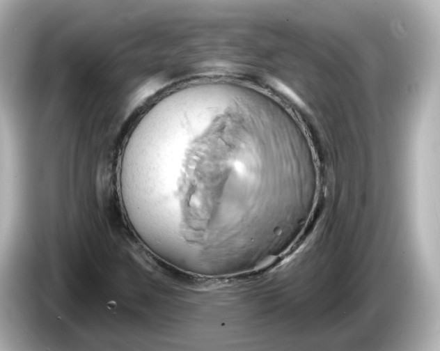 X0000086021259200704091107