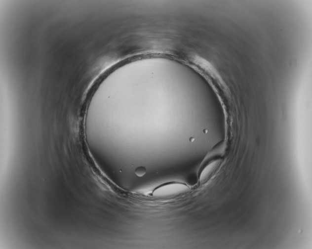 X0000086021260200704091107