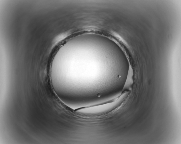 X0000086021261200704091107