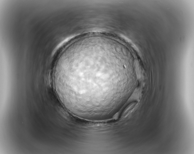 X0000086021262200704091107