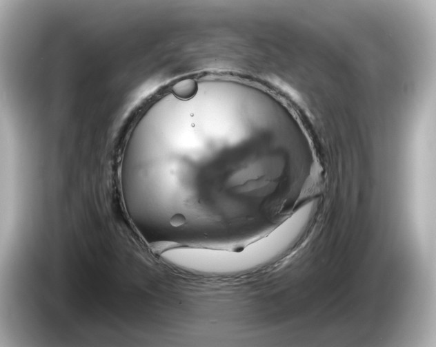 X0000086021263200704091107
