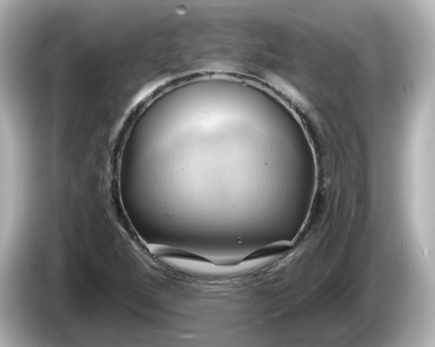 X0000086021264200704091107
