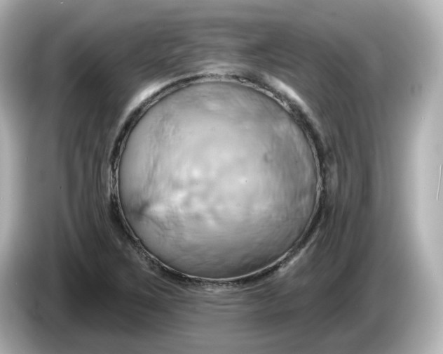 X0000086021267200704091107