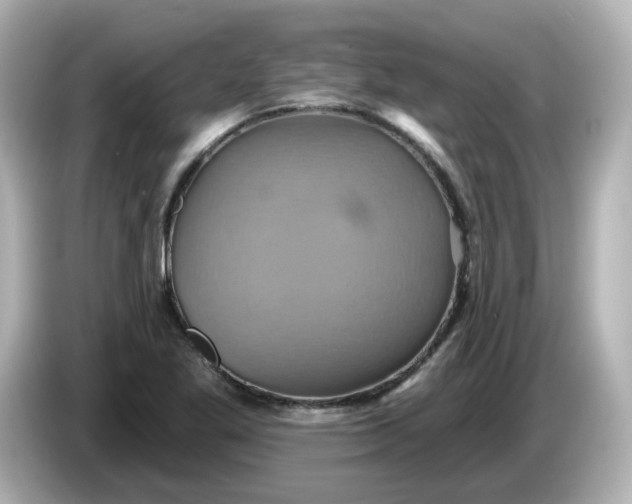 X0000086021269200704091107