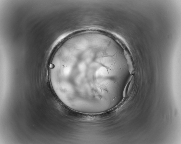X0000086021271200704091107