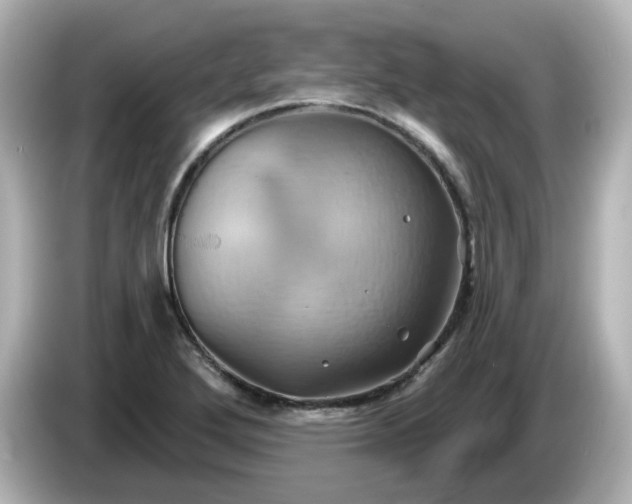 X0000086021272200704091107