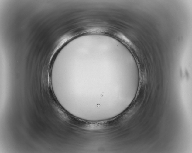 X0000086021274200704091107