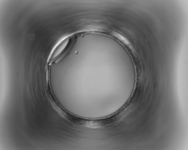 X0000086021275200704091107