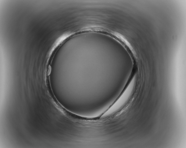 X0000086021277200704091107