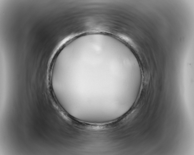 X0000086021278200704091107
