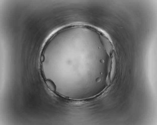 X0000086021279200704091107