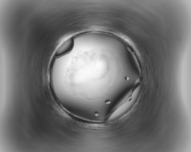 X0000086021280200704091107