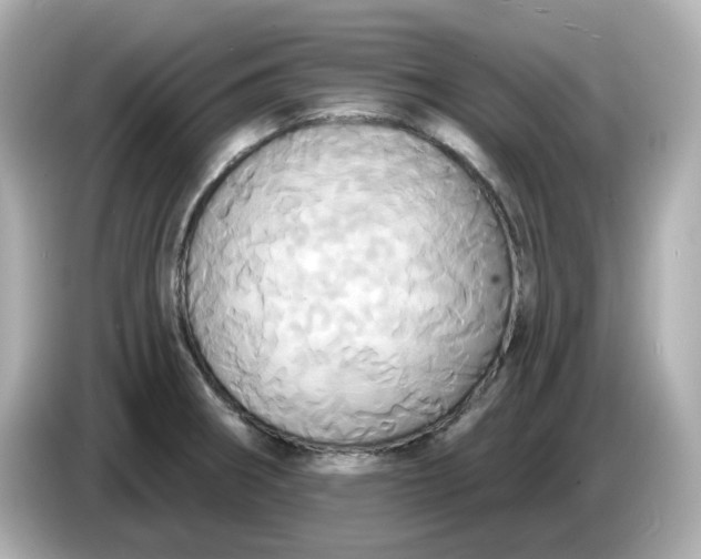 X0000086021282200704091107