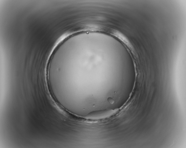X0000086021283200704091107
