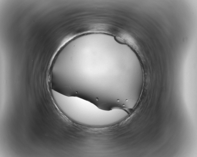 X0000086021284200704091107