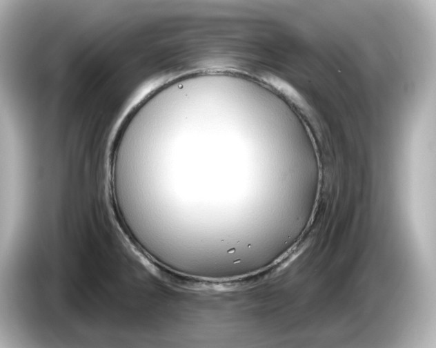 X0000086021286200704091107