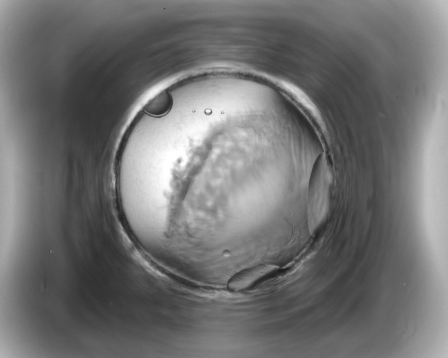X0000086021287200704091107
