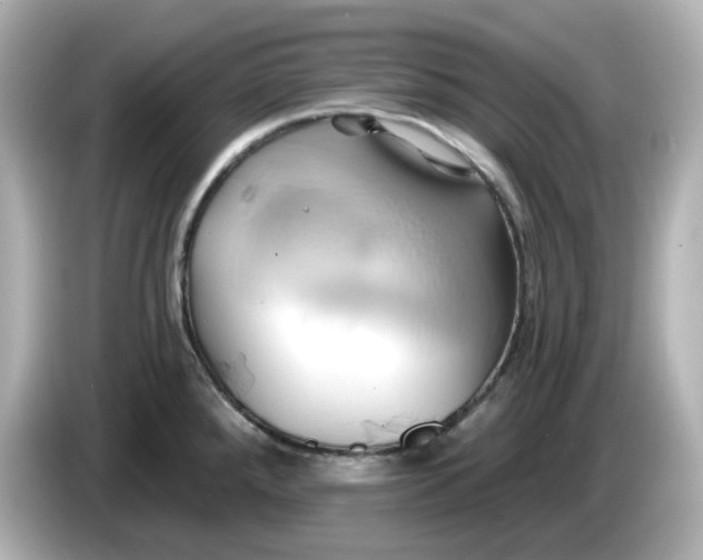 X0000086021288200704091107