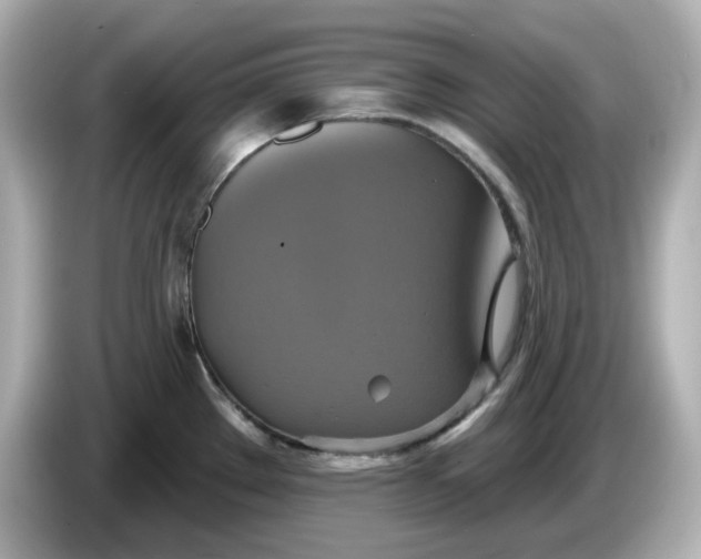 X0000086021289200704091107